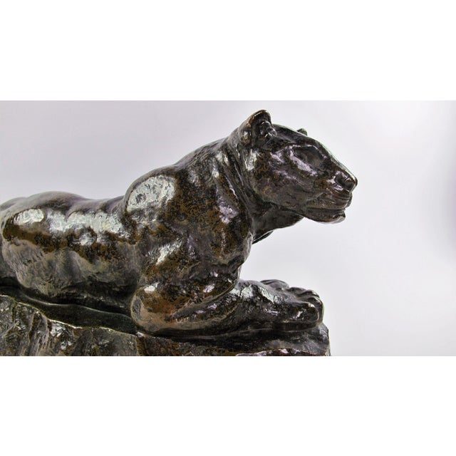 Bronze Tunis Panther N°1 by Antoine-Louis Barye, 1875 For Sale - Image 3 of 10