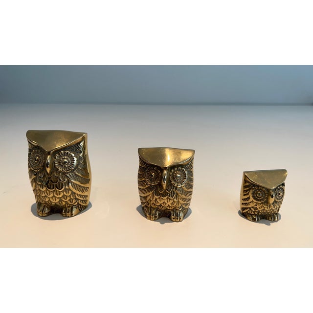 1970s Set of 3 Small Decorative Brass Owls For Sale - Image 4 of 12