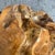 Wood Root Hand-Carved Organic Sculpture Sphere, Small For Sale - Image 11 of 12