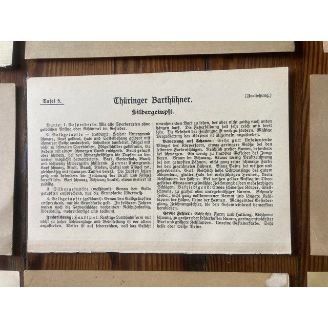 Paper Authentic Collection of 19th Century Kramer Chicken Chromolithographs in Color For Sale - Image 7 of 9