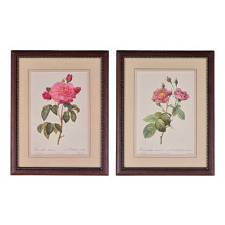 Pierre-Joseph Redouté, Roses, 1950s, Lithographs, Framed, Set of 2 For Sale