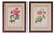 Pierre-Joseph Redouté, Roses, 1950s, Lithographs, Framed, Set of 2 For Sale