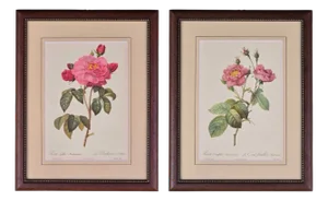 Pierre-Joseph Redouté, Roses, 1950s, Lithographs, Framed, Set of 2