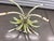 Vintage 1960's Italian Toile Foral Metal Coffee Table Base For Sale - Image 6 of 9