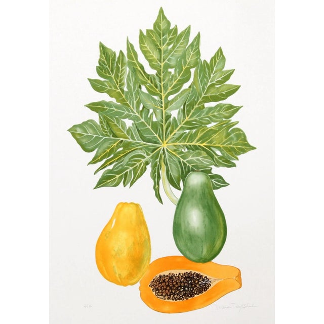 Papaya, Marion Sheehan Lithograph For Sale