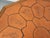 Octagonal Oak Coffee Table from Barrois with Vallauris Ceramic Herbarium Top, 1960s For Sale - Image 16 of 17