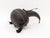 West African Musical Instruments, 2 For Sale - Image 13 of 13
