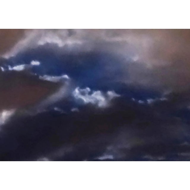 Artist Reed Hearne, Sentinel Palm, Limited Edition of 5, Archival Photographic Pigment Print on Fine Art, Matte Paper,...