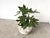 Brutalist Spherical Planter Made of Fiber Cement, DLG Willy Guhl, 1960s For Sale - Image 3 of 9