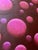 Paul Brach, Color Gradient Paul Brach Spheres Pink & Crimson Abstract Oil Painting New York For Sale - Image 4 of 18