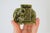 Mid 20th Century Vintage Green Ceramic Elephant Toothpick Holder For Sale - Image 5 of 11