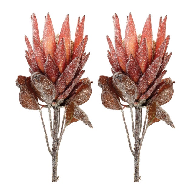 Contemporary Red Protea Flower Stem (Set of 2) For Sale - Image 3 of 3