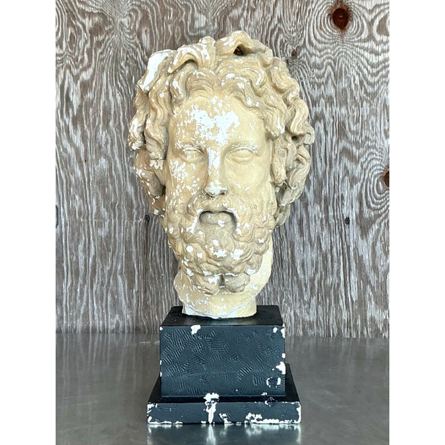 Mid 20th Century Vintage Grand Tour Plaster Bust of Man For Sale - Image 10 of 12