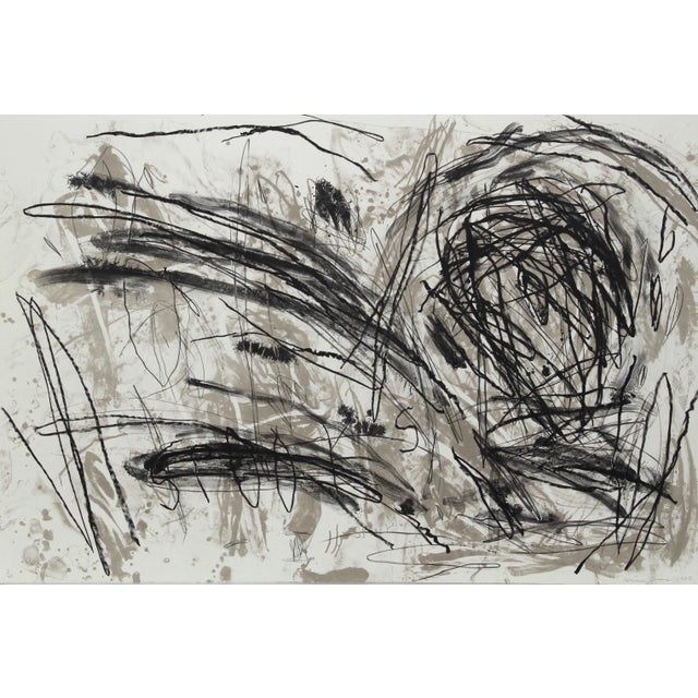 Louisa Chase, Spooks, Lithograph For Sale