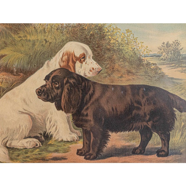 Single Print - This is for the exact dog print in the main photo featuring 2 dogs one brown & one white. (18 available see...