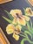 Contemporary "Irises" Original Contemporary Botanical Oil Painting on Canvas With Black Background For Sale - Image 3 of 14