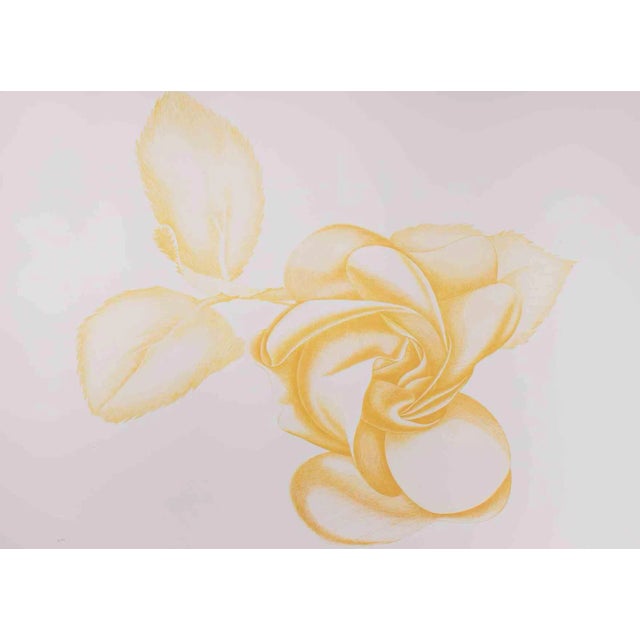 Giacomo Porzano, Yellow Rose, Original Etching, 1972 For Sale