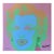 1986 Carnegie Museum of Art After Andy Warhol "Light Blue - Hand Numbered" Lithograph For Sale