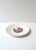Early 20th Century Early 20th Century Plates Neoclassical Design - Set of 4 For Sale - Image 5 of 13