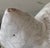 Ceramic Monumental Italian Majolica Terracotta Mother Cat & Sleeping Kitten Sculpture on Striped Cushion, 22 Inches Wide For Sale - Image 7 of 12