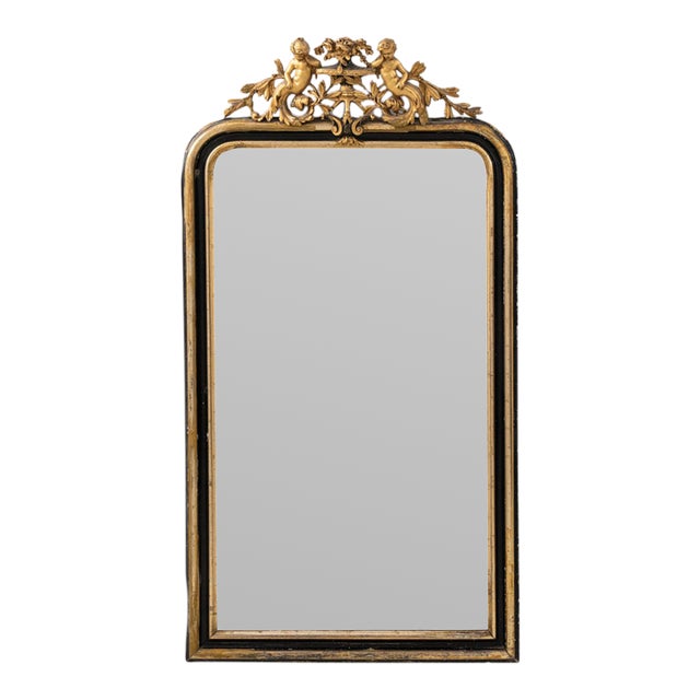 19th Century France Napoleon III Brown Wood Full-length & Floor Mirrors For Sale