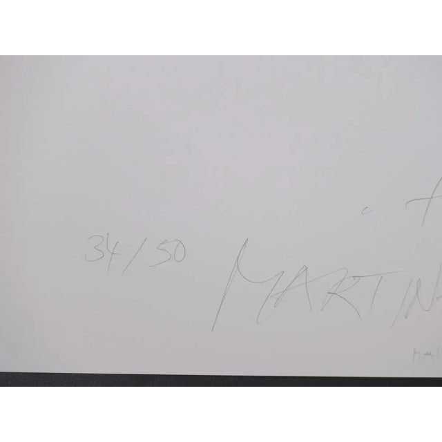 False Diamonds is a beautiful color photographic print realized by the German artist Martina Schumacher (1972-) in 1998....