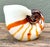 Vintage a Italian Murano Glass Nautilus Shell For Sale - Image 11 of 12