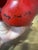A signed trompe l’oeil ceramic bell pepper by American ceramic artist Mary Kirk Kelly (1918–2013). Kelly became...