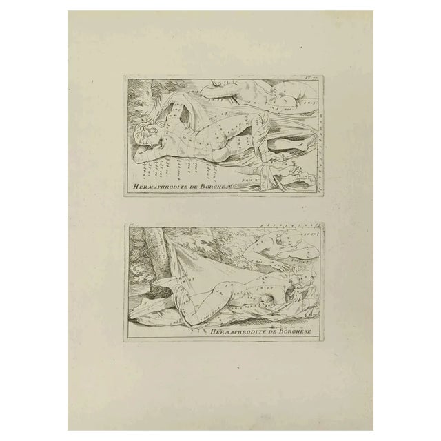 Jean François Poletnich, Apollon, Etching, 18th Century For Sale