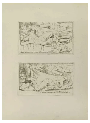 Jean François Poletnich, Apollon, Etching, 18th Century
