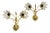 Brass and Lotus Flower Wall Lights by Sa Boulanger, 1960s, Set of 2 For Sale