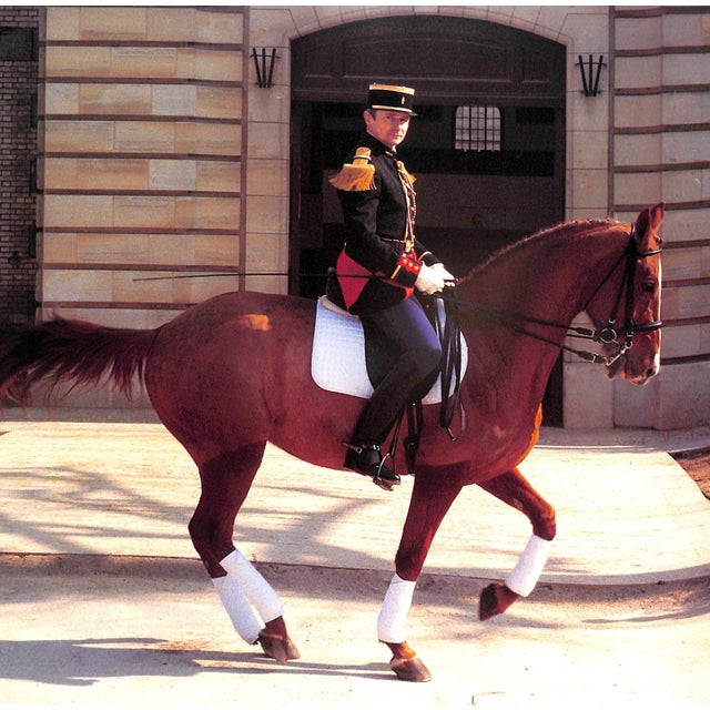 Paper "La Selle Hermes" 1993 Birnbaum, Michel [Editeur] For Sale - Image 7 of 12