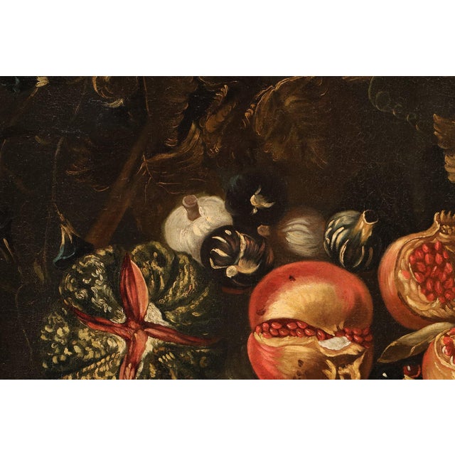 Michele Pace, Detto Michelangelo Del Campidoglio, Cerchia Di, Still Life with Fruit Peace, 1680, Oil on Canvas For Sale - Image 11 of 15