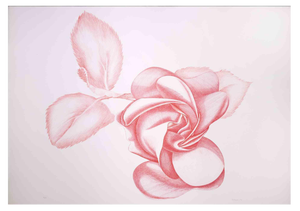 Giacomo Porzano, Red Rose, Original Etching, 1970s