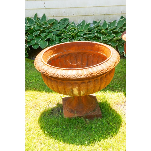 American Pair Monumental Cast Iron Urn Planters For Sale - Image 3 of 9