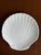 Contemporary Scallop Shell Shaped White Ceramic Plates— Set of Four For Sale In Washington DC - Image 6 of 18