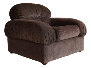 Vintage Italian Lounge Chair