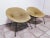 Set of Mid-Century Lounge Chairs from Saporiti For Sale - Image 4 of 18