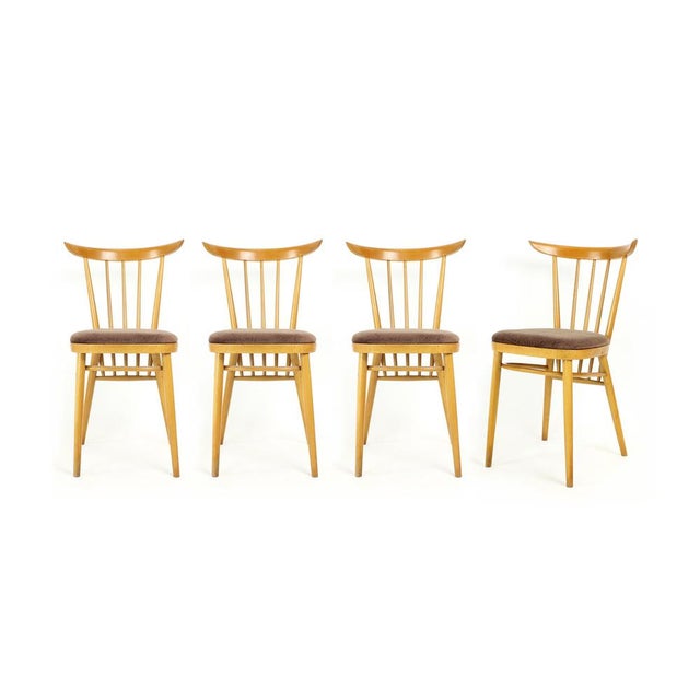Dining Chairs from Tatra, Former Czechoslovakia, 1960s, Set of 4 For Sale - Image 11 of 11