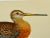 Antique Hand Colored Bird Print From England Showcasing a Black-Tailed Godwit - Circa 1880 For Sale - Image 4 of 11