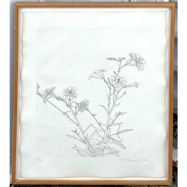 1970s Ed Baynard, Zen Minimalist Flowers Etching American Modernist Ed Baynard Pop Art Print For Sale - Image 5 of 6