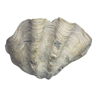 Vintage Large Clam Shell Decorative Bowl Centerpiece For Sale