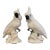 Vintage Mid Century Porcelain White Cockatiel Birds- A Pair For Sale