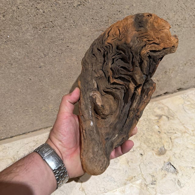 Mid 20th Century Free Form Organic Wood Root Sculpture For Sale - Image 5 of 6