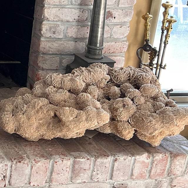 Late 20th Century Very Large Selenite Desert Rose Crystal Cluster Rock Formation For Sale - Image 10 of 11