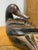 Mid 19th Century 19th Century Carved & Lacquered Wooden Korean Duck Figure For Sale - Image 5 of 6