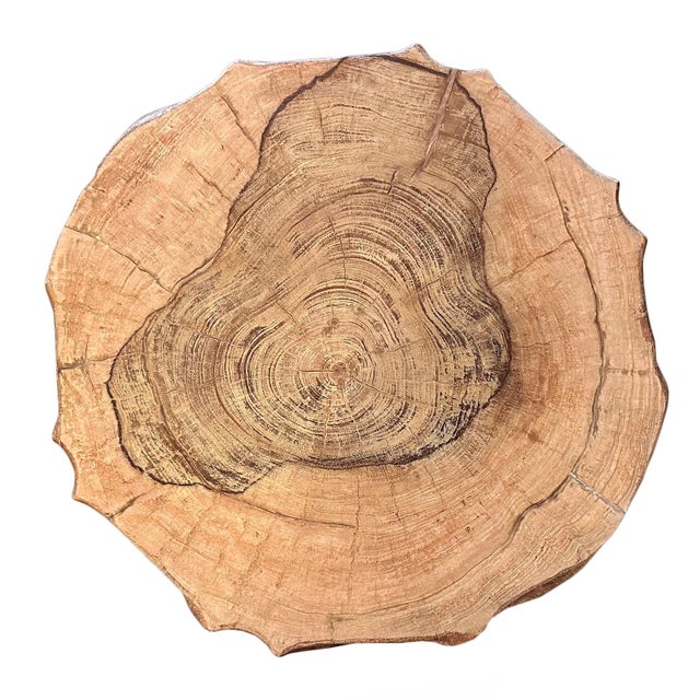 Sculptural side table / stool crafted from a single solid block of richly grained lychee wood. This piece showcases a...