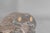 Table Lamp from Crystal Ile De France, 1950s For Sale - Image 8 of 9