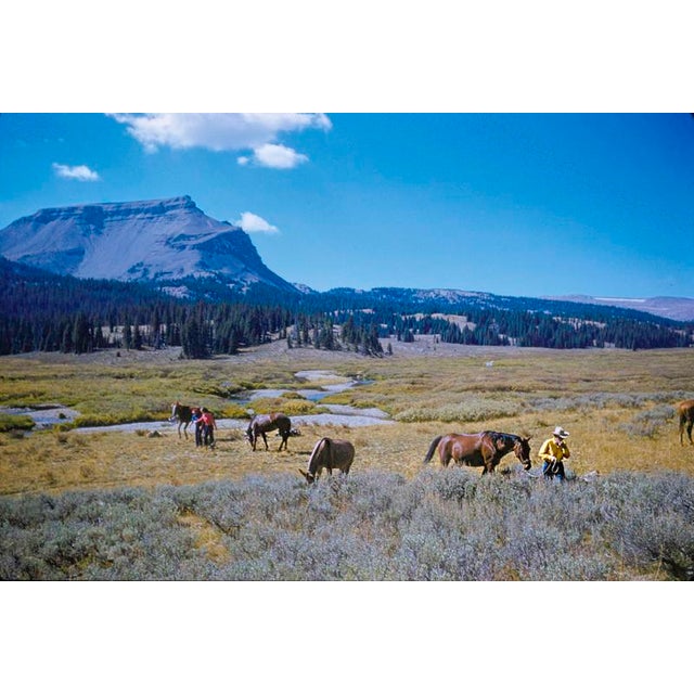 A Pack Trip In Wyoming by Toni Frissell Holiday makers at a Wyoming dude ranch enjoy a pack trip across a spectacular...