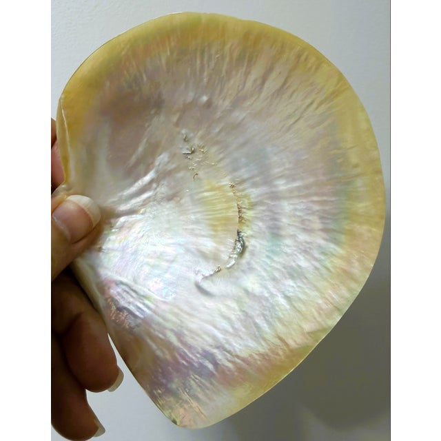 Vintage Mother of Pearl Caviar Dishes and Spoons For Sale In Greenville, SC - Image 6 of 16
